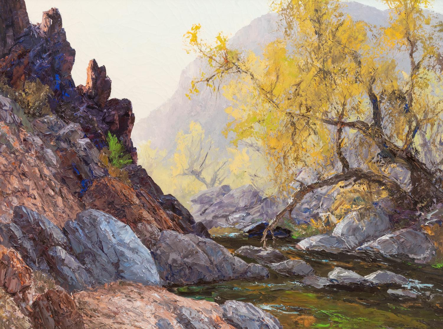 Springtime Along Cave Creek