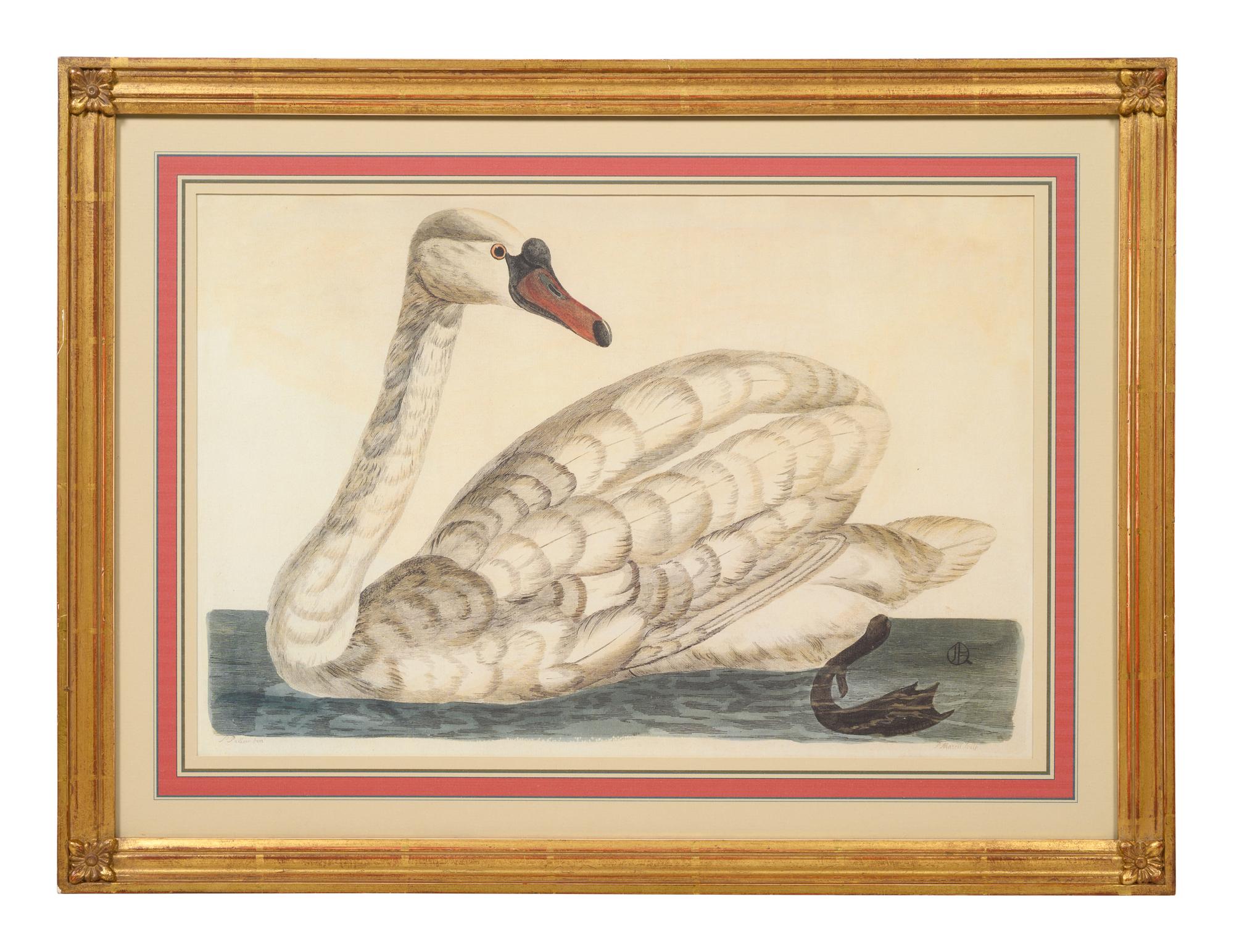 Peter Mazell (Irish, 1733-1808)