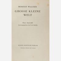 [Literature] Walser, Robert Group of 11 Titles