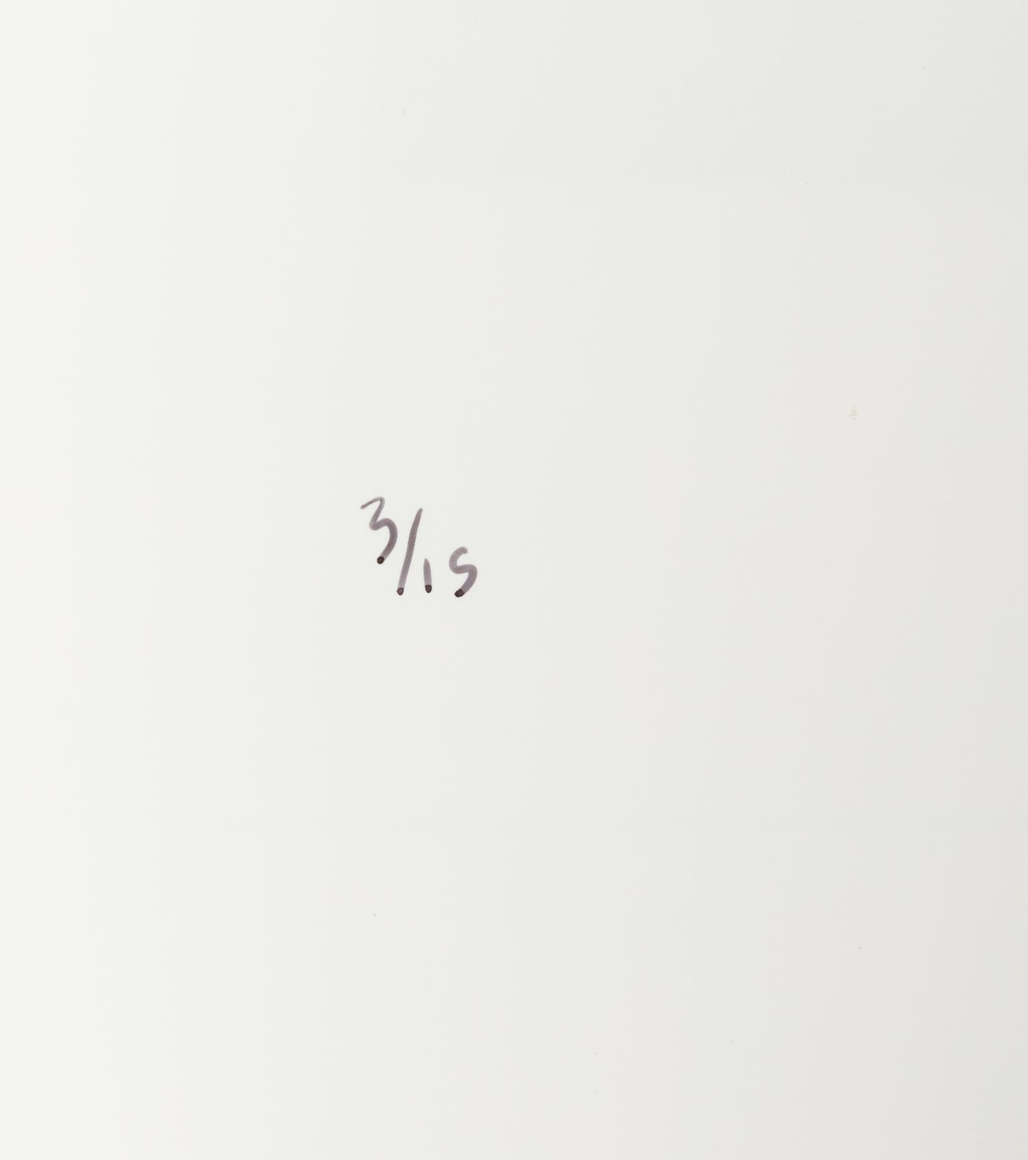 Chris Verene (born 1969) "Family", Front Cover for "New Monograph", 2008