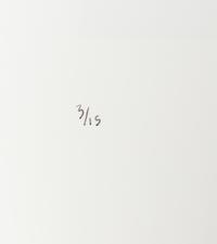 Chris Verene (born 1969) "Family", Front Cover for "New Monograph", 2008
