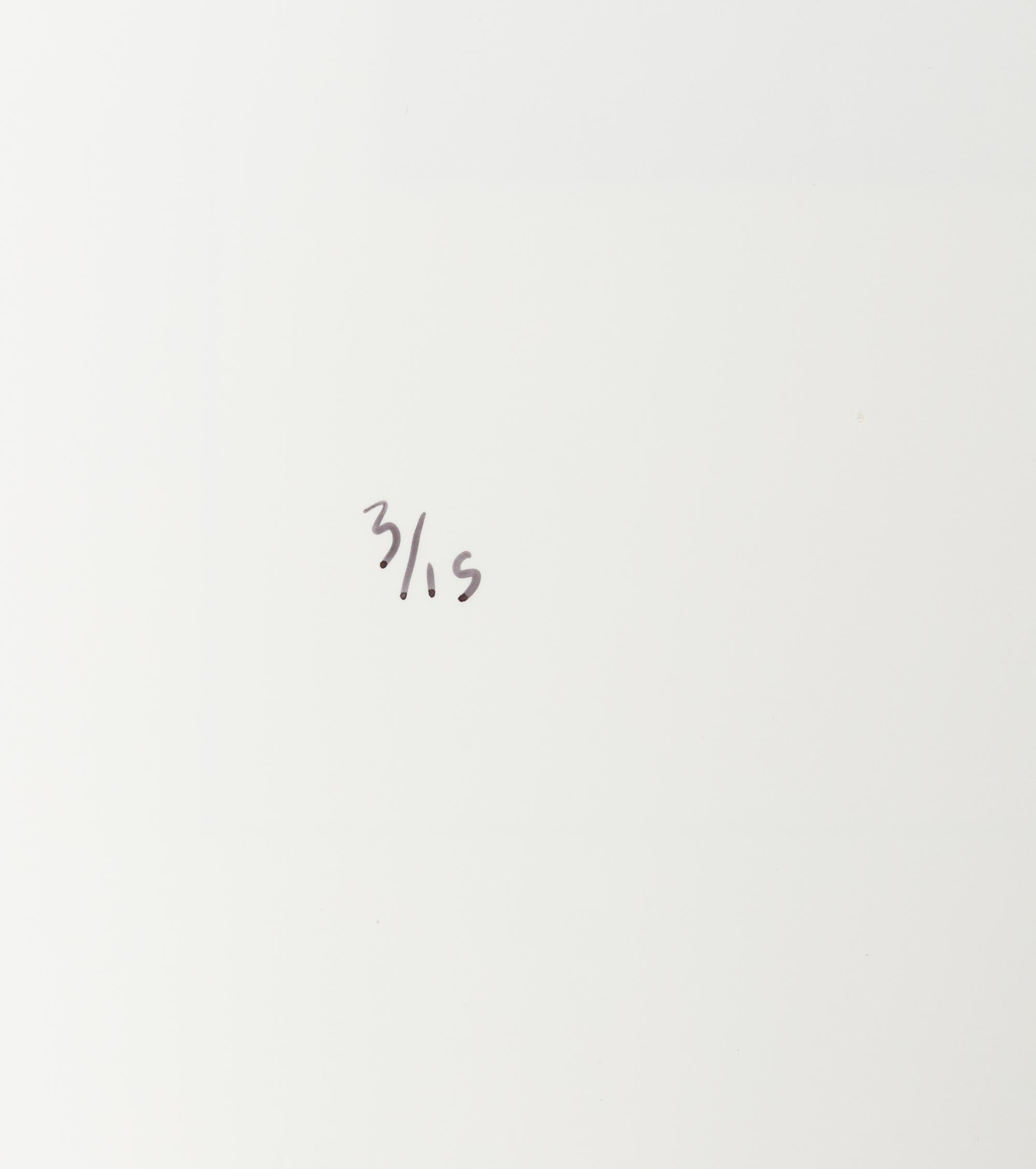 Chris Verene (born 1969) "Family", Front Cover for "New Monograph", 2008