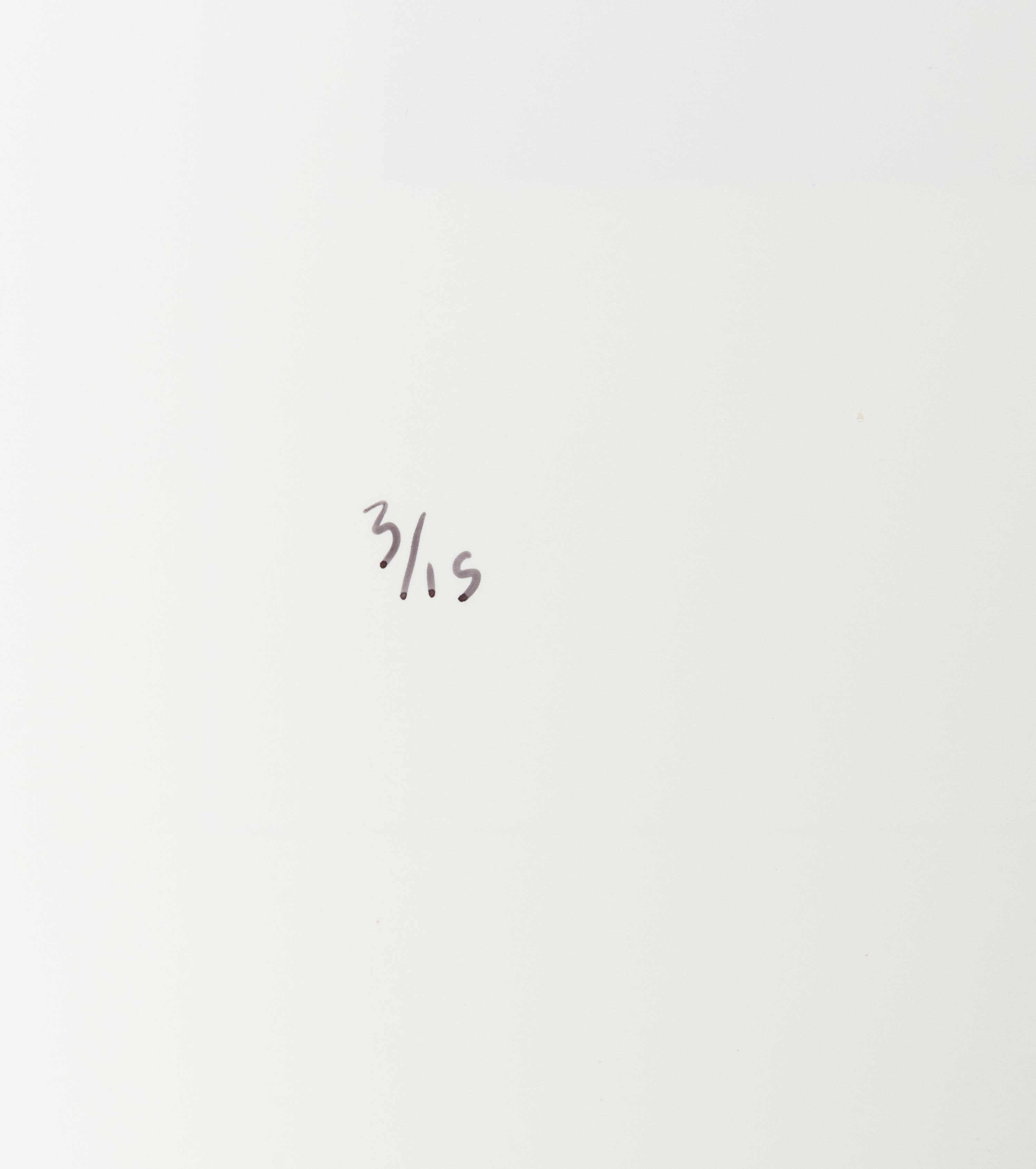 Chris Verene (born 1969) "Family", Front Cover for "New Monograph", 2008