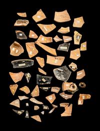 52 Attic, Laconian, Corinthian, and Etruscan Red and Black-Figured Vase Fragments
