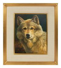Eastern Timberwolf Portrait , 2001
