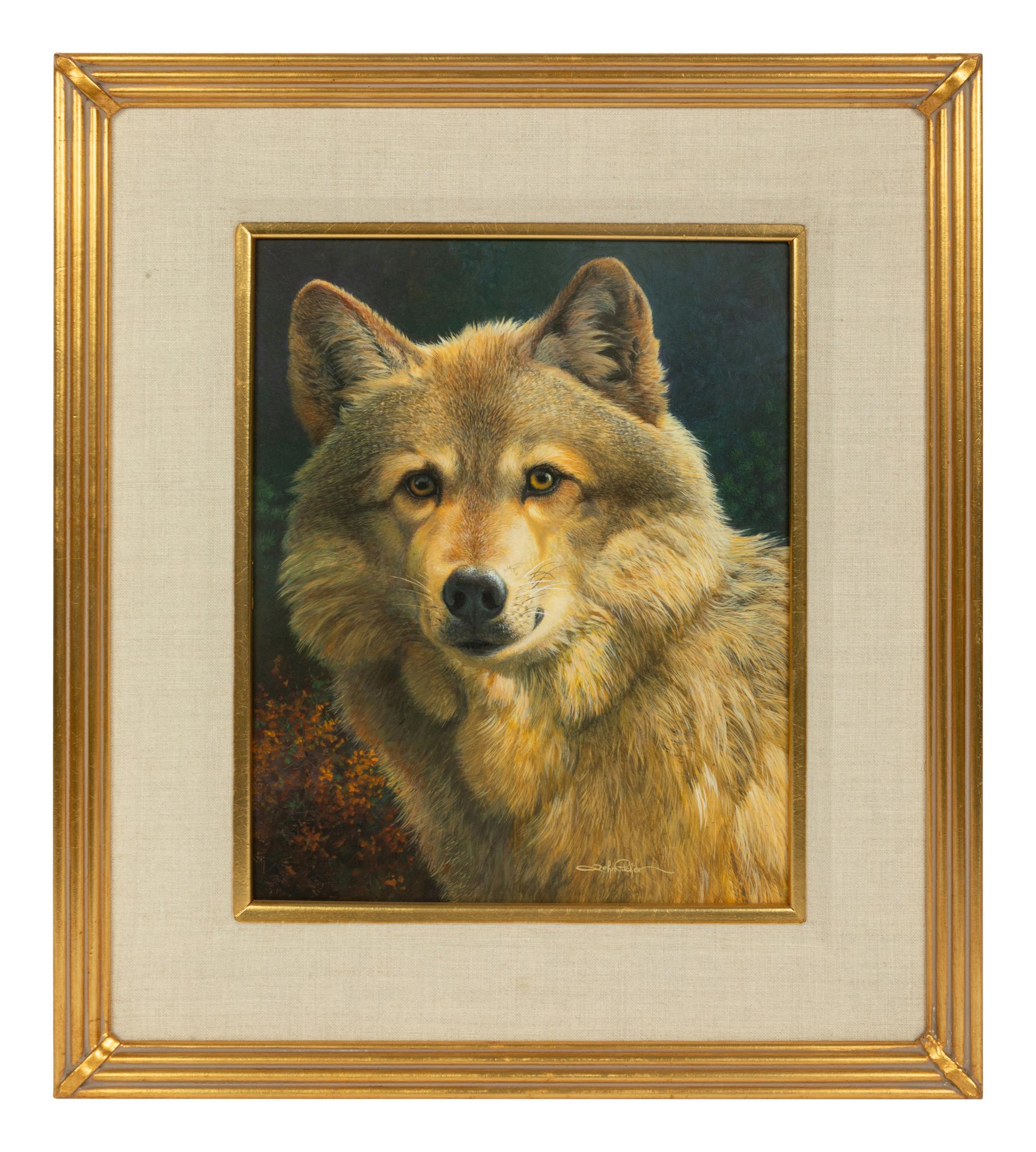 Eastern Timberwolf Portrait , 2001