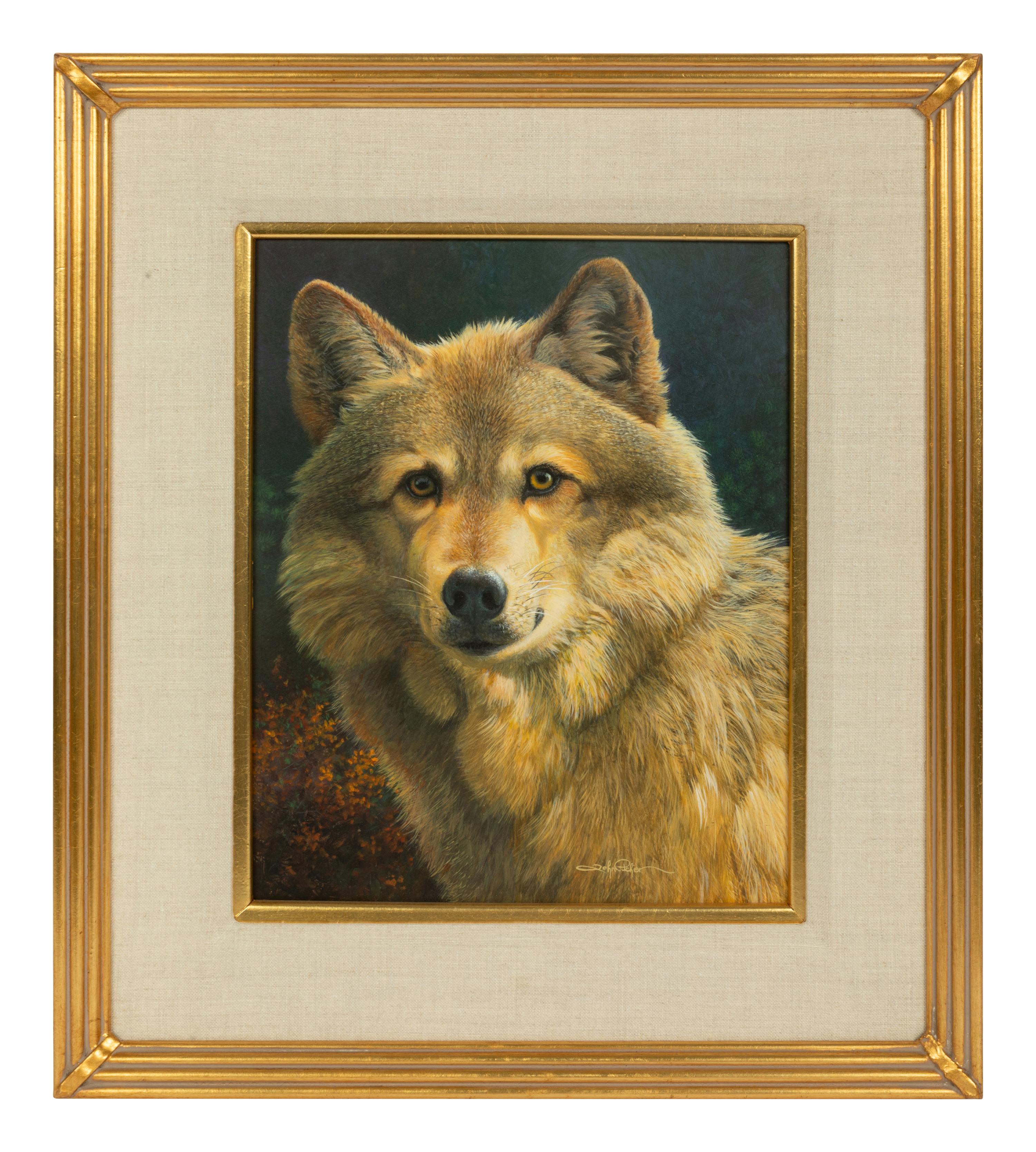 Eastern Timberwolf Portrait , 2001