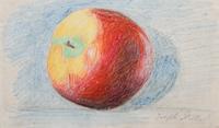 Apple , c. 1945-50