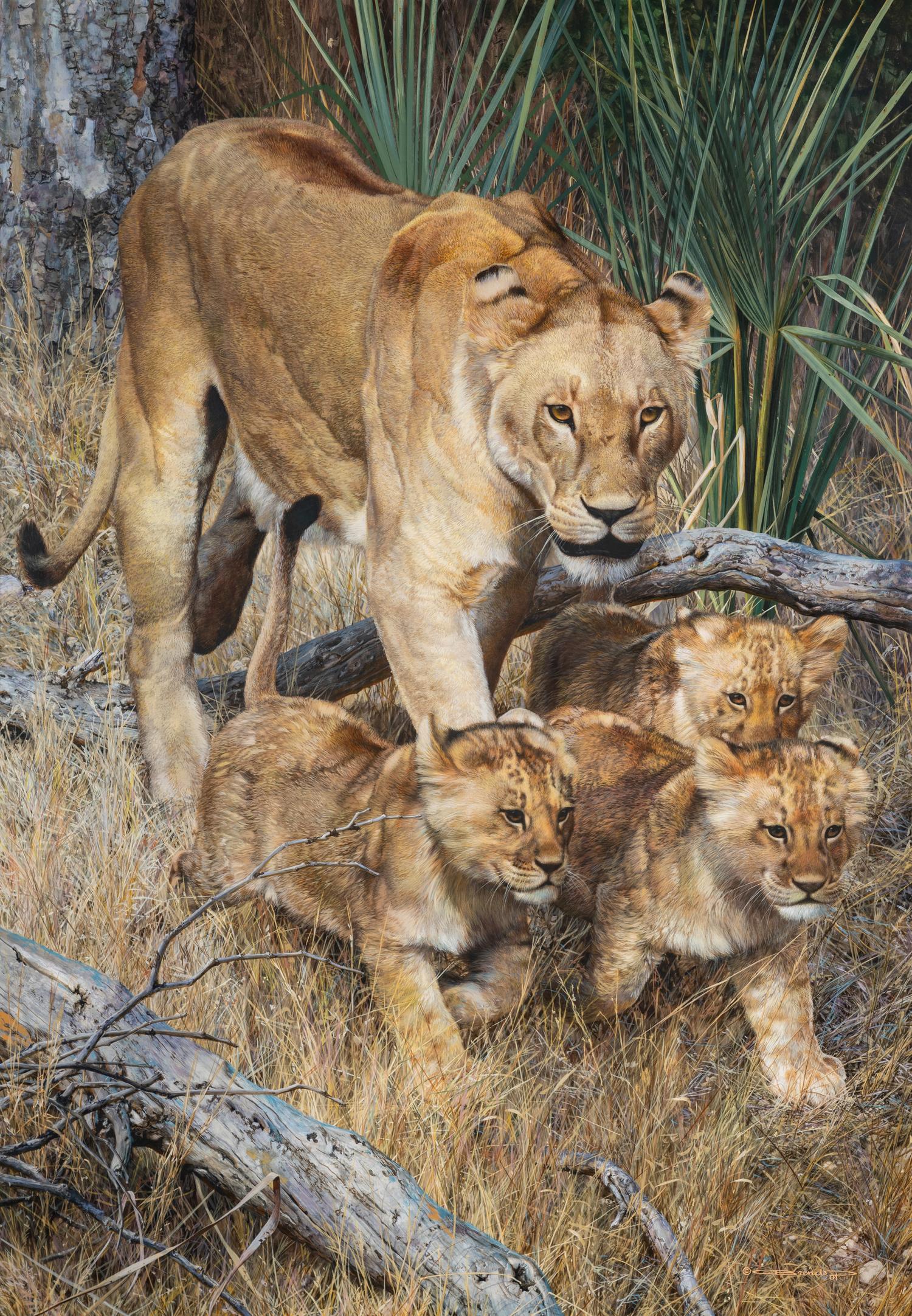 On a Journey - Lioness and Cubs