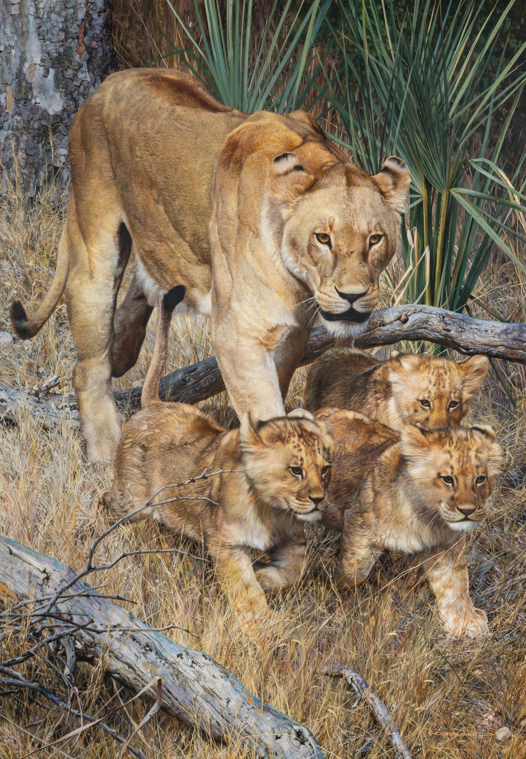 On a Journey - Lioness and Cubs