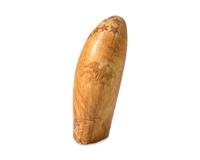 A Scrimshaw Whale Tooth