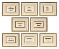A Set of Eight Hand-Colored Fish Engravings