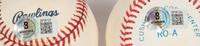 A Group of Mark McGwire and Sammy Sosa Single Signed Autograph Baseballs (Beckett Authentication Services)
