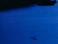 Teton Shadows, edition 259/950