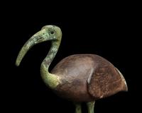 An Egyptian Wood and Bronze Ibis