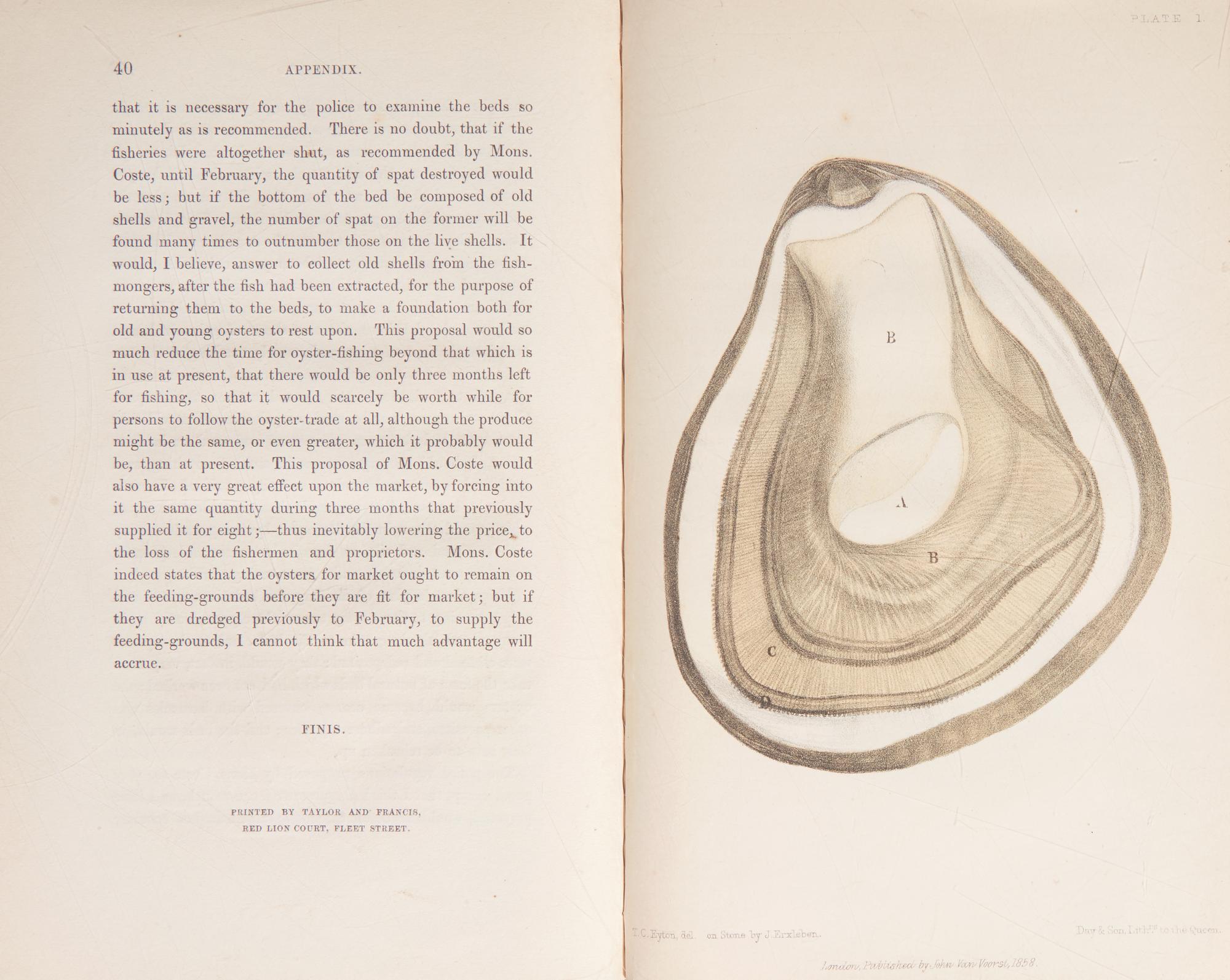 [Food & Drink] Group of 2 First Editions on Oysters