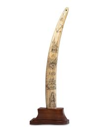 A Scrimshaw Walrus Tusk