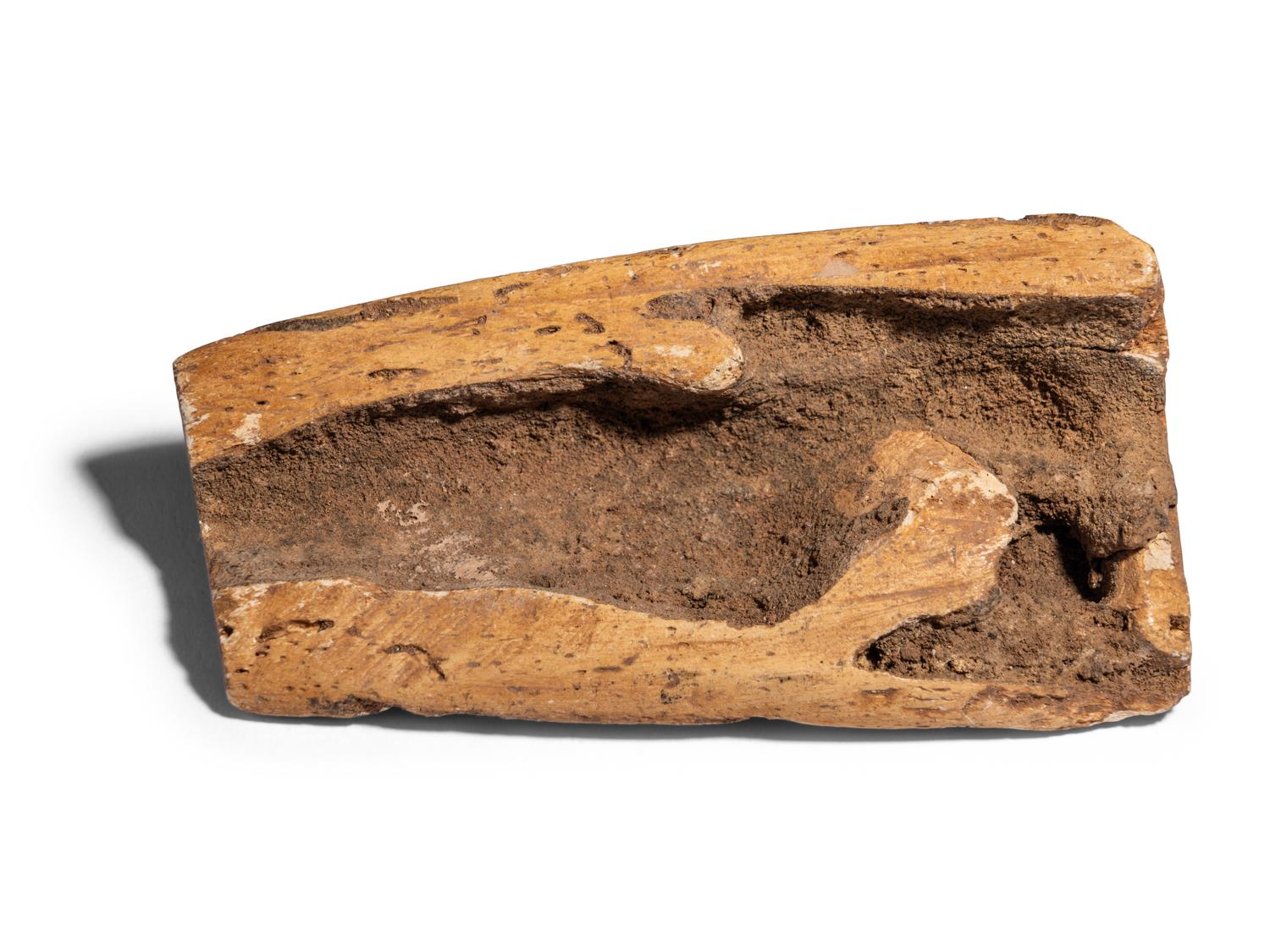 A Coptic Bone Fragment with a Lion Hunting Scene