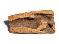 A Coptic Bone Fragment with a Lion Hunting Scene