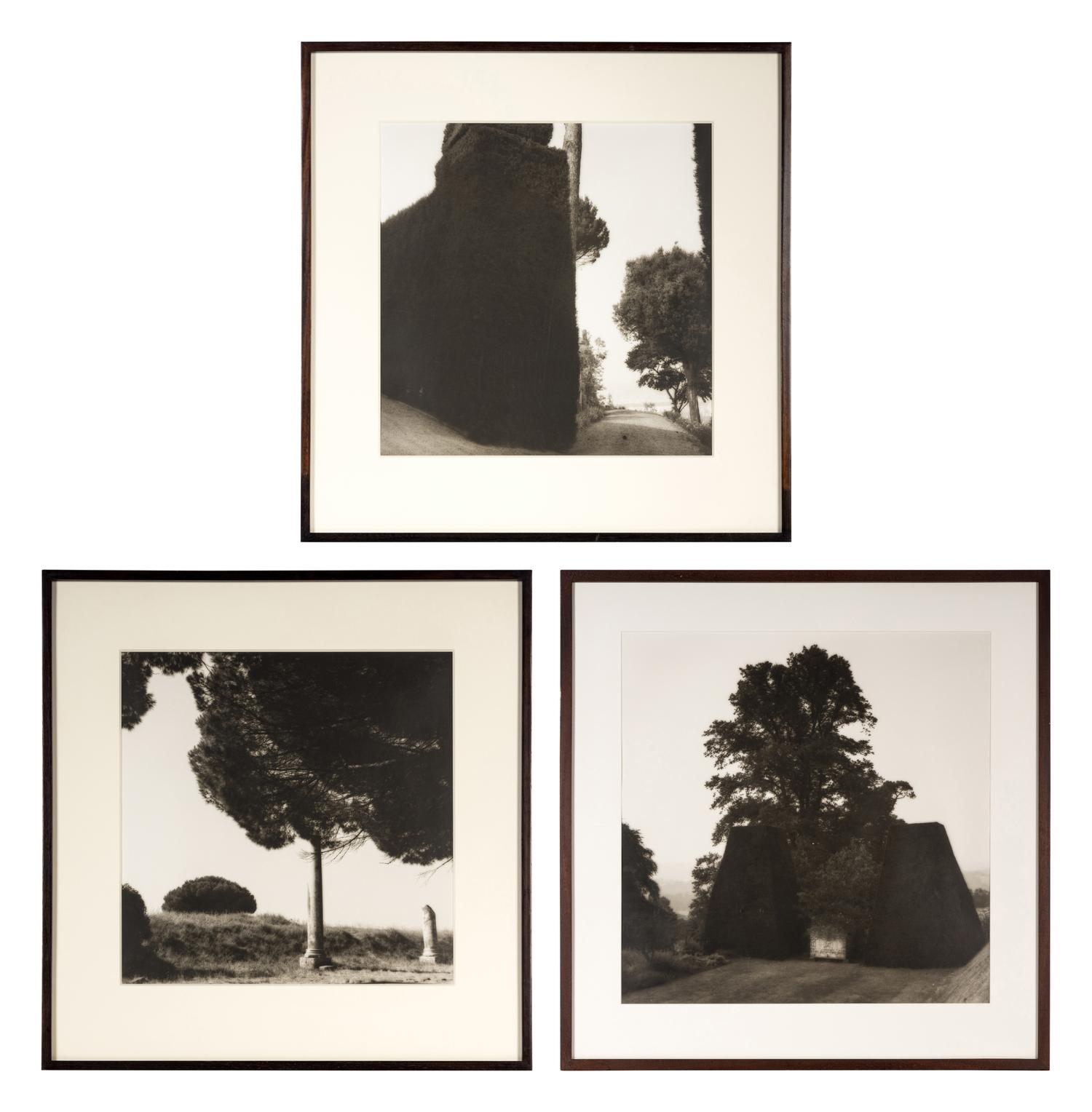 Topiaries and Planter, Knightshayes Court, Devon, England , 1991; Tree and Column, Ostia Antiqua, Italy , 1990; and Tree and Hedge, Villa Gamberaia, Settignano, Italy , 1990 (Three Works)