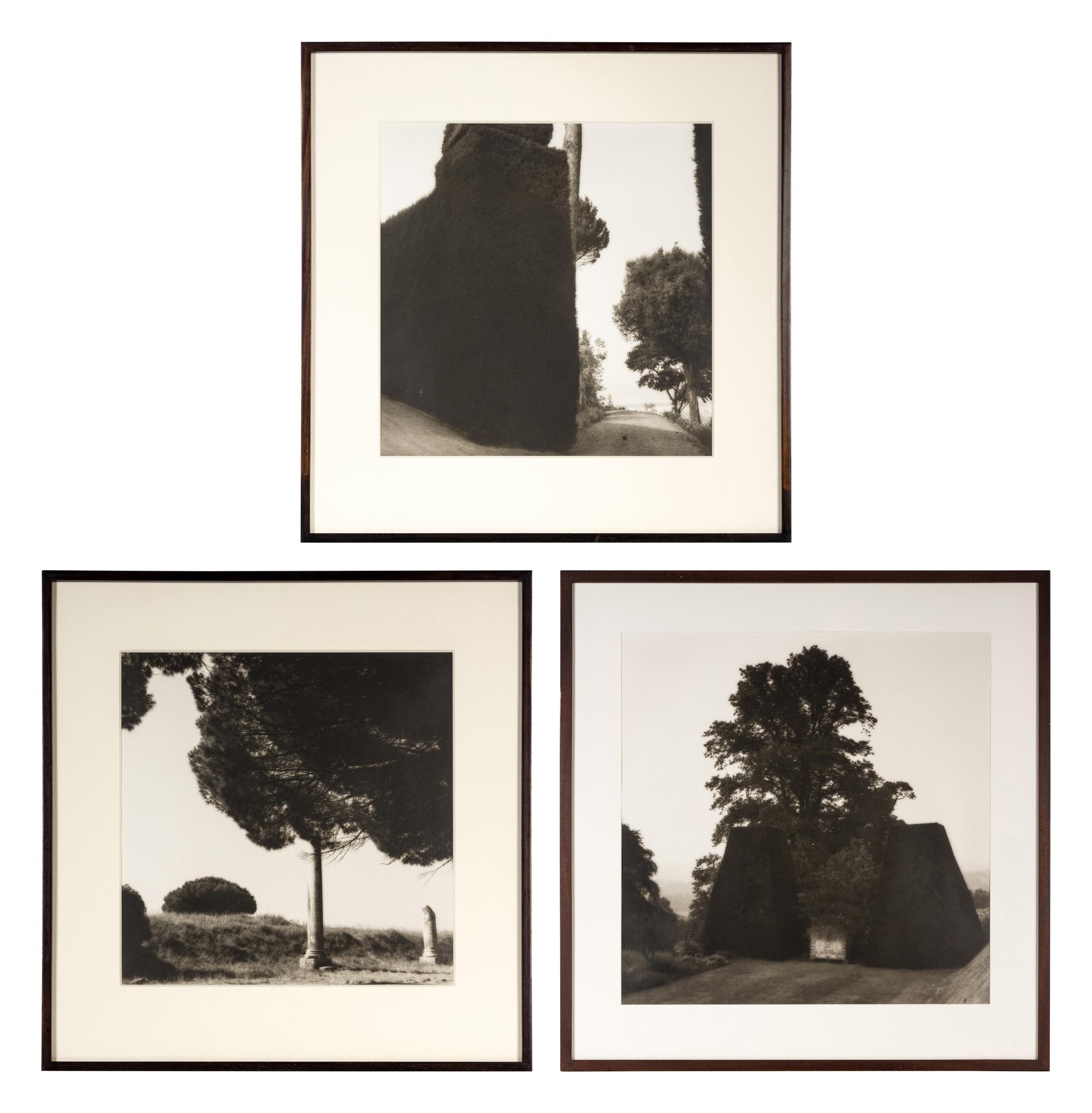Topiaries and Planter, Knightshayes Court, Devon, England , 1991; Tree and Column, Ostia Antiqua, Italy , 1990; and Tree and Hedge, Villa Gamberaia, Settignano, Italy , 1990 (Three Works)