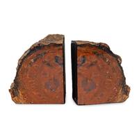 A Pair of Petrified Wood Bookends