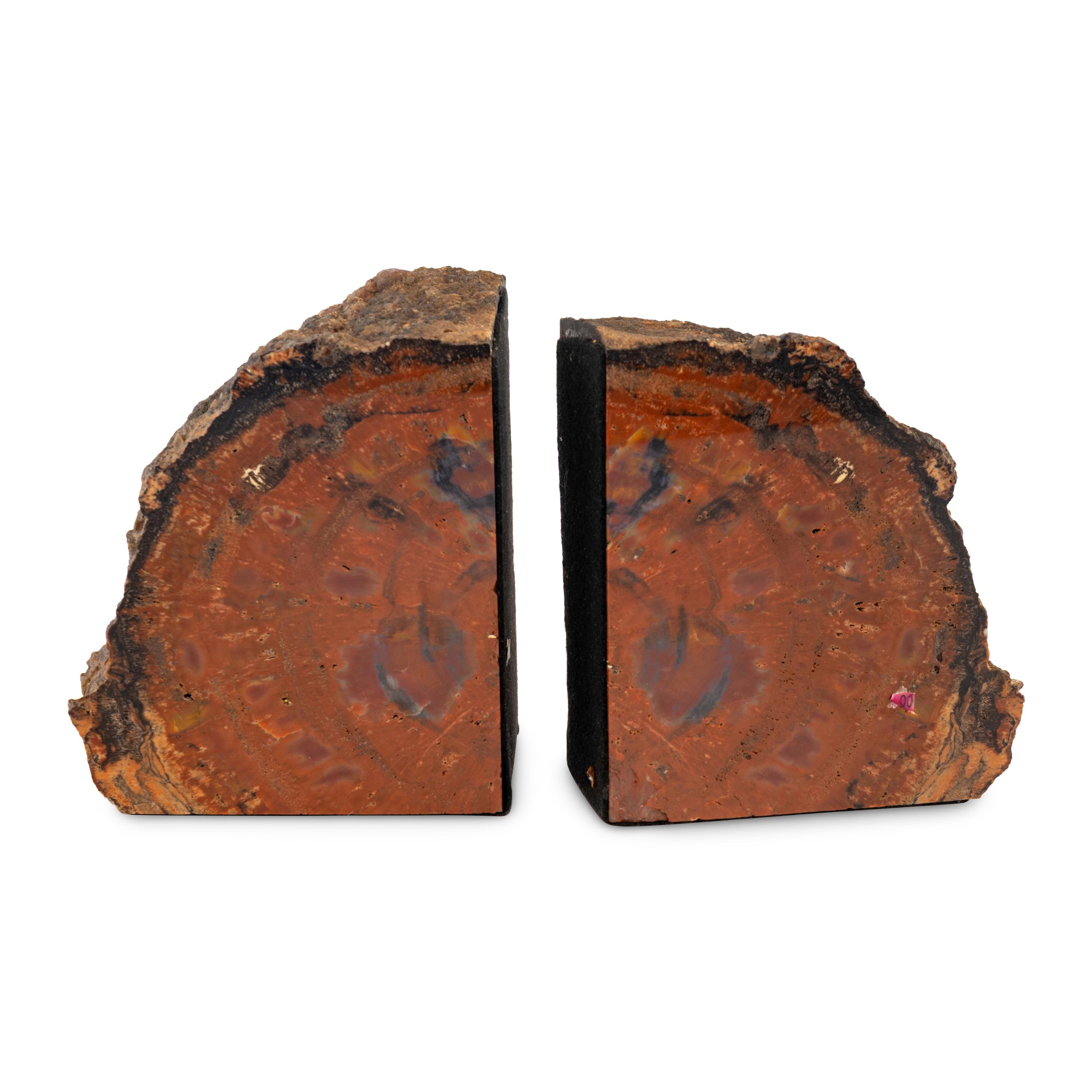 A Pair of Petrified Wood Bookends