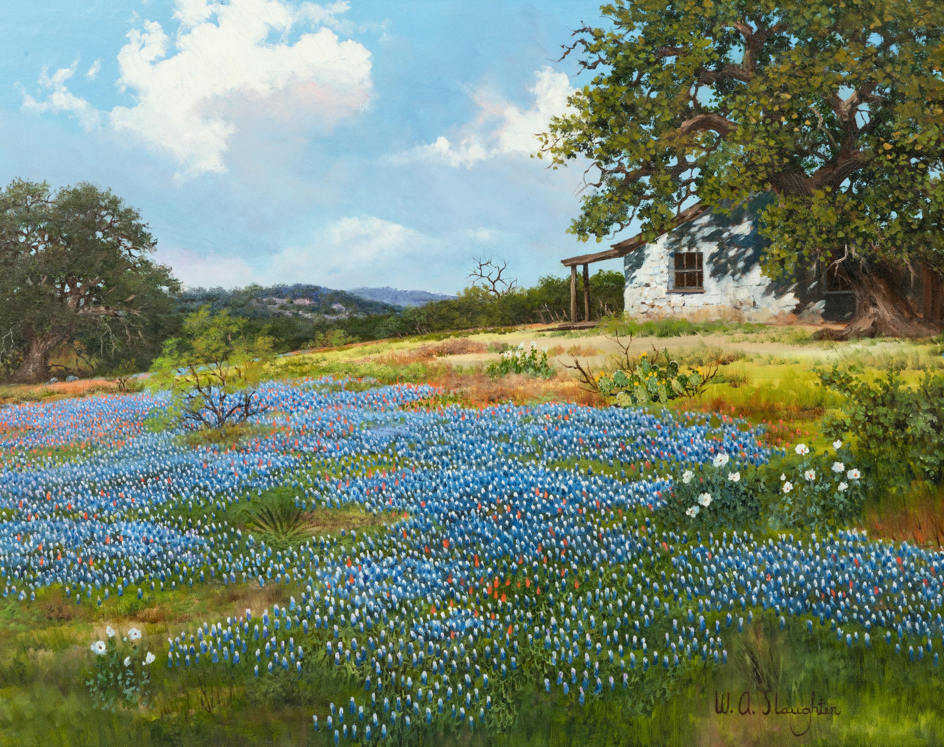 Barn and Bluebonnets