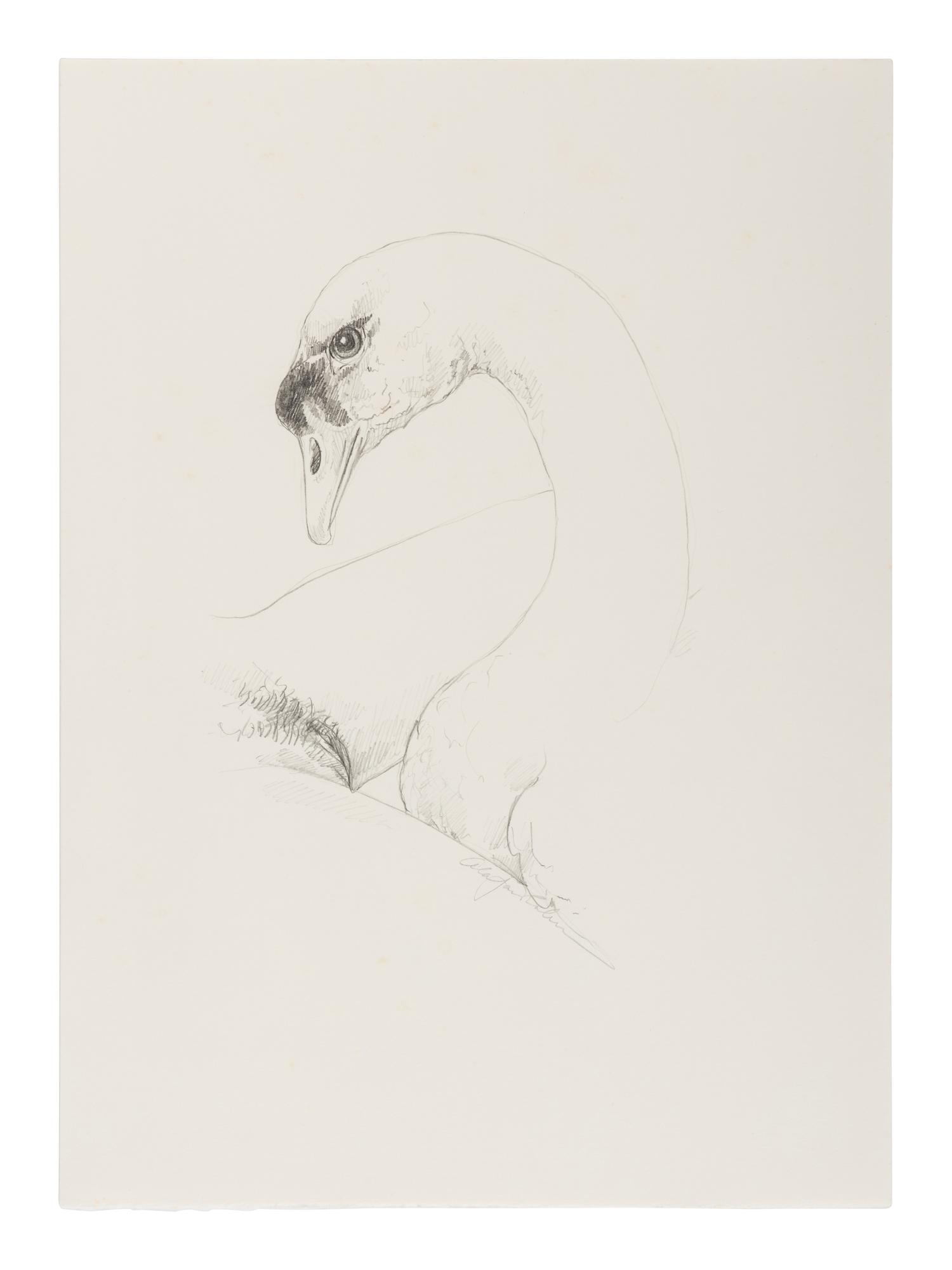 [CHELONIIDAE PRESS]. LOUYS, Pierre (1870-1925). Leda in Praise of the Blessings of Darkness . Alan James ROBINSON, illustrator. Easthampton, MA: Cheloniidae Press, 1985.