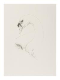 [CHELONIIDAE PRESS]. LOUYS, Pierre (1870-1925). Leda in Praise of the Blessings of Darkness . Alan James ROBINSON, illustrator. Easthampton, MA: Cheloniidae Press, 1985.