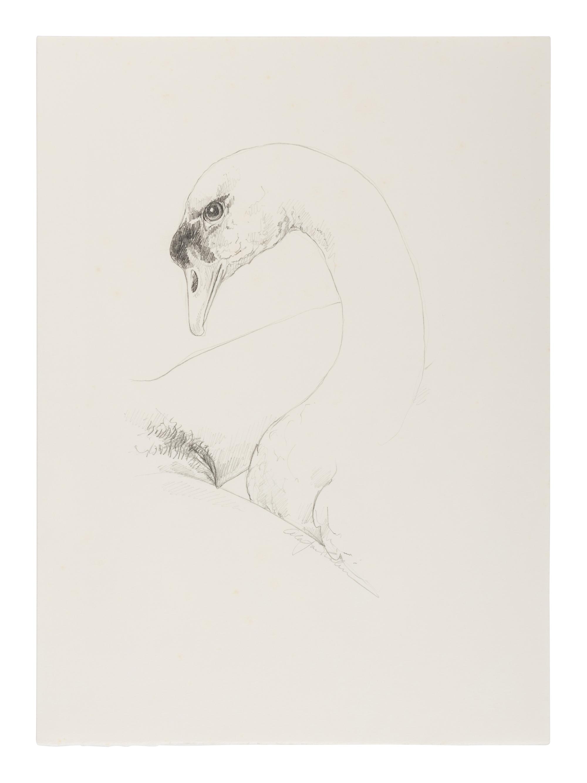 [CHELONIIDAE PRESS]. LOUYS, Pierre (1870-1925). Leda in Praise of the Blessings of Darkness . Alan James ROBINSON, illustrator. Easthampton, MA: Cheloniidae Press, 1985.