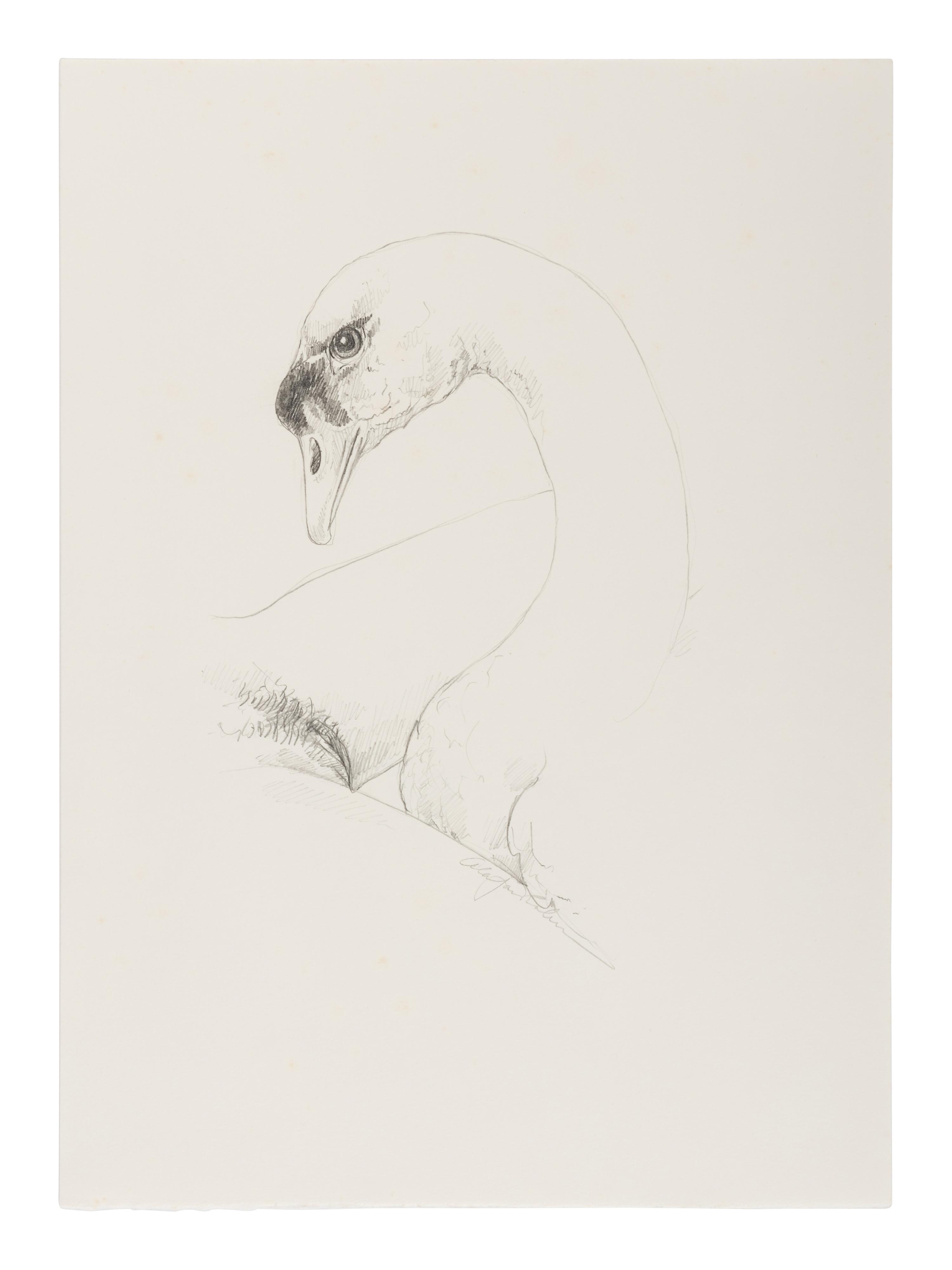 [CHELONIIDAE PRESS]. LOUYS, Pierre (1870-1925). Leda in Praise of the Blessings of Darkness . Alan James ROBINSON, illustrator. Easthampton, MA: Cheloniidae Press, 1985.