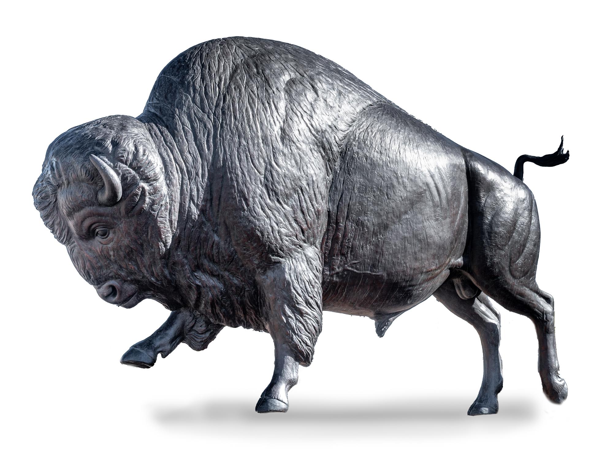Bull Bison