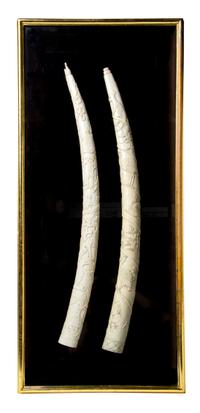 Two Relief Carved Ivory Tusks, Length of first 26 inches.