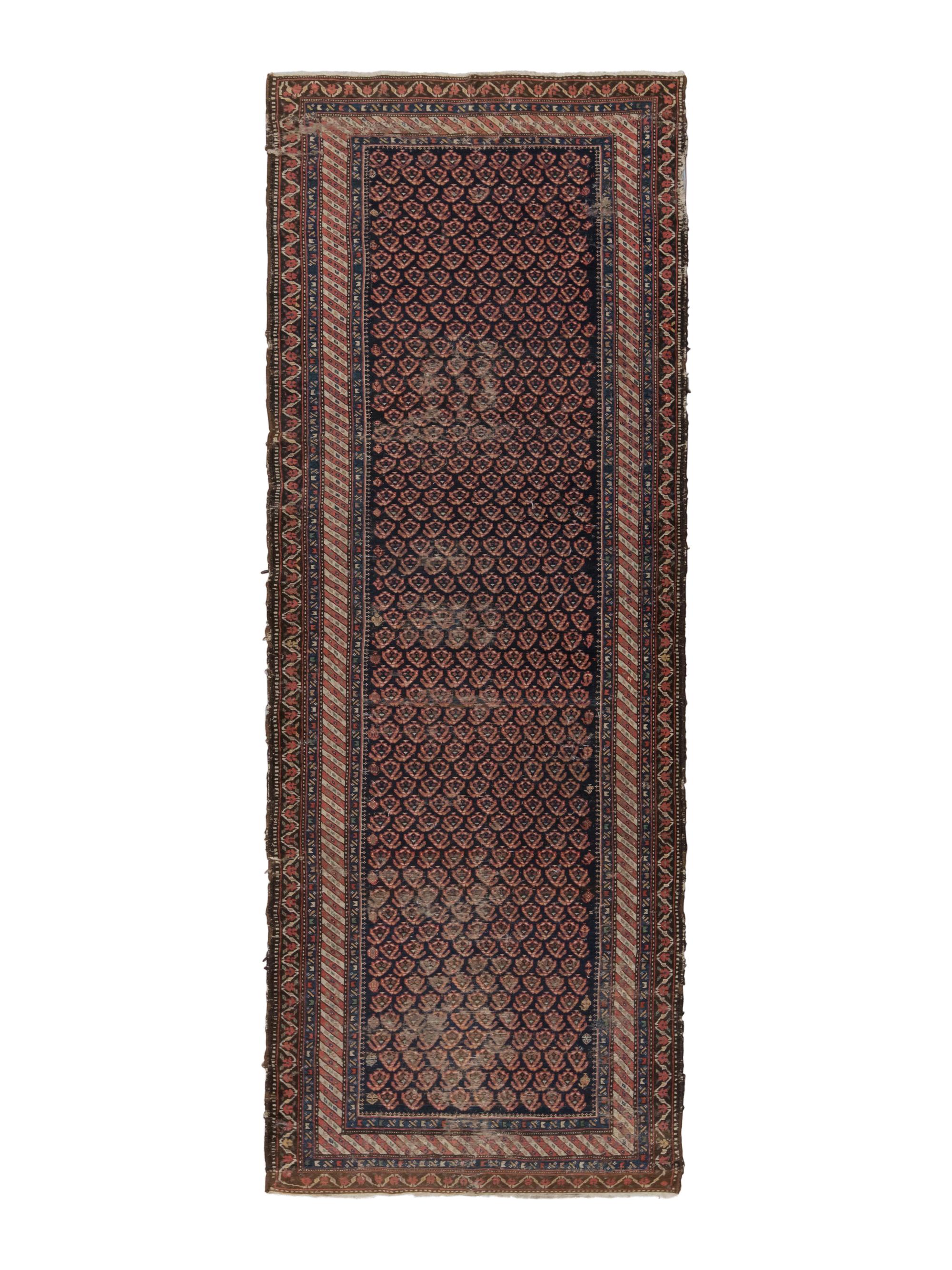 A Northwest Persian Runner