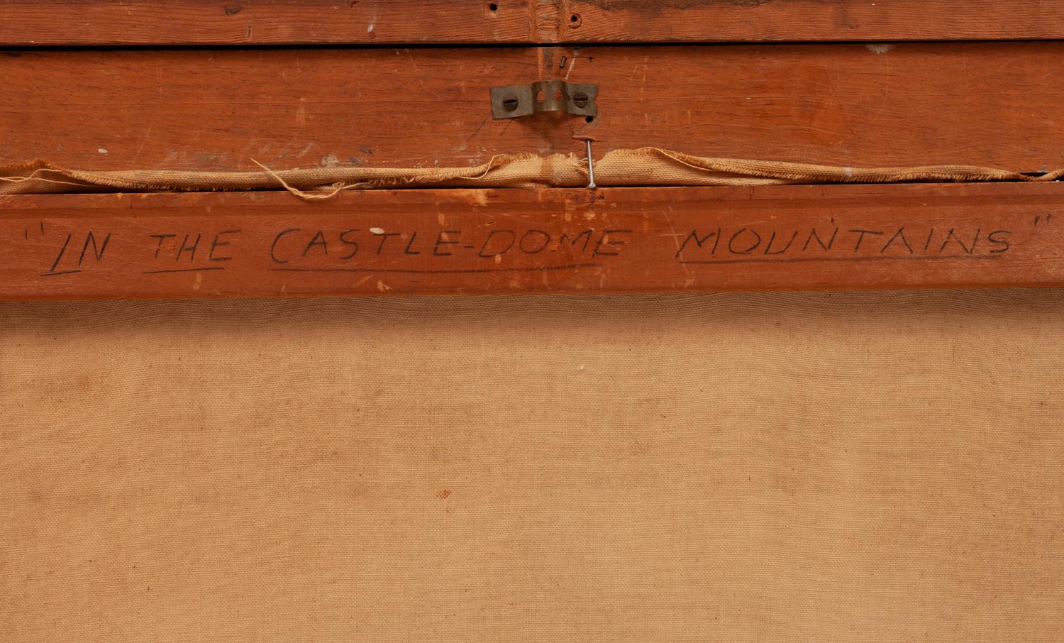 In the Castle Dome Mountains