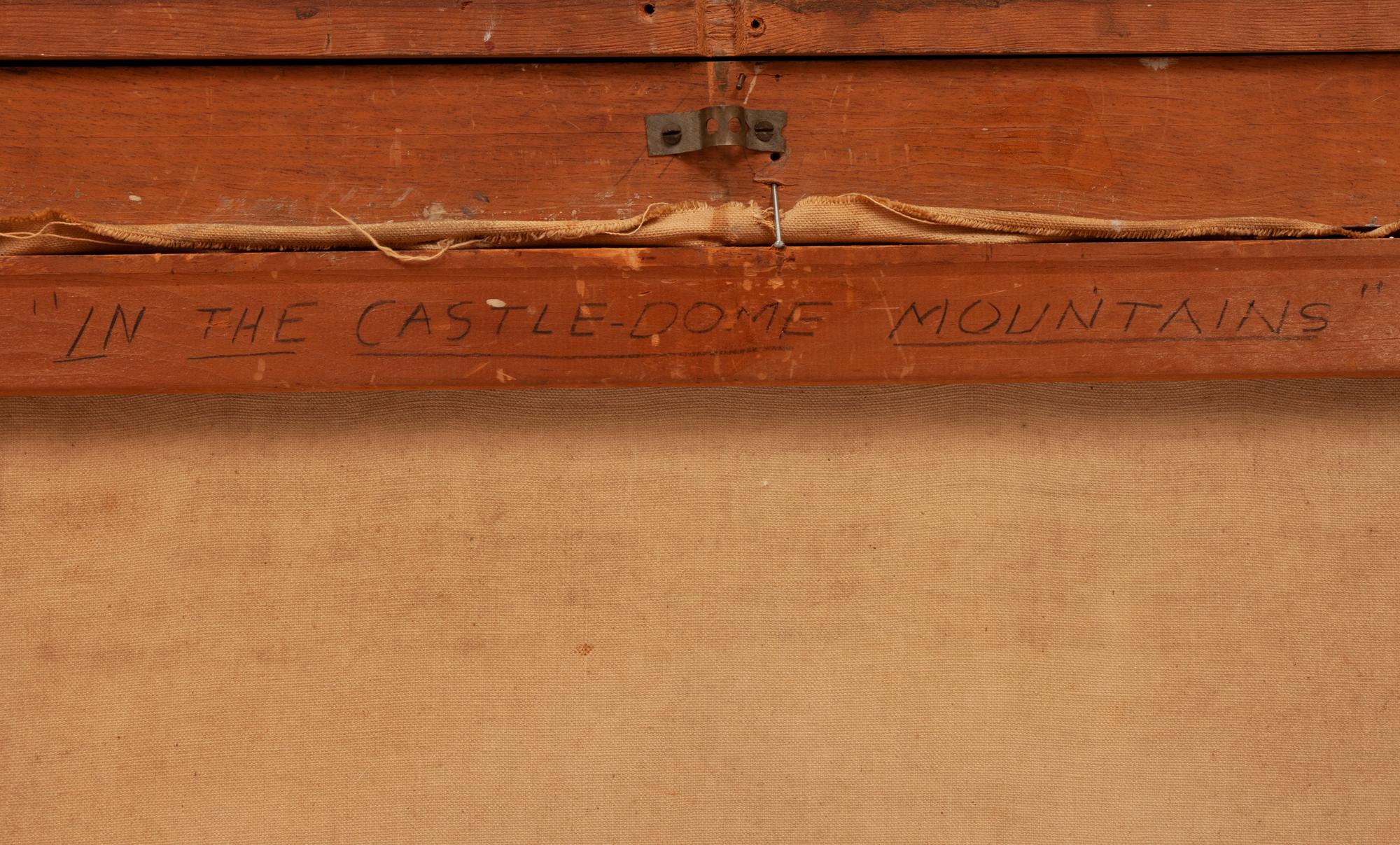 In the Castle Dome Mountains