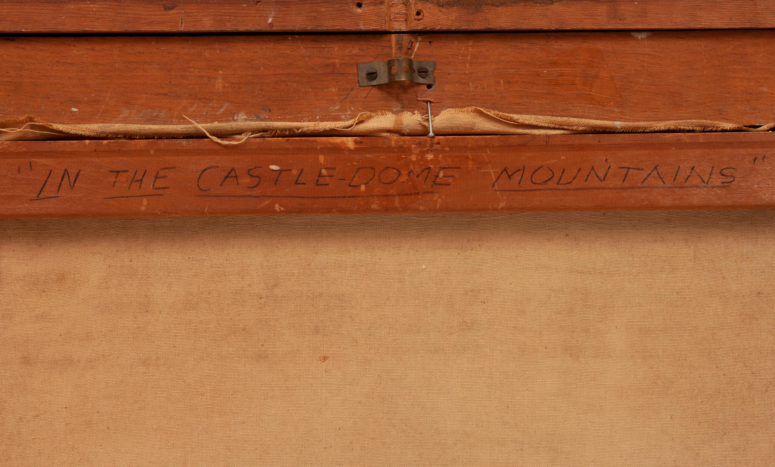 In the Castle Dome Mountains