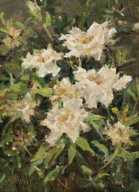 White Flowers