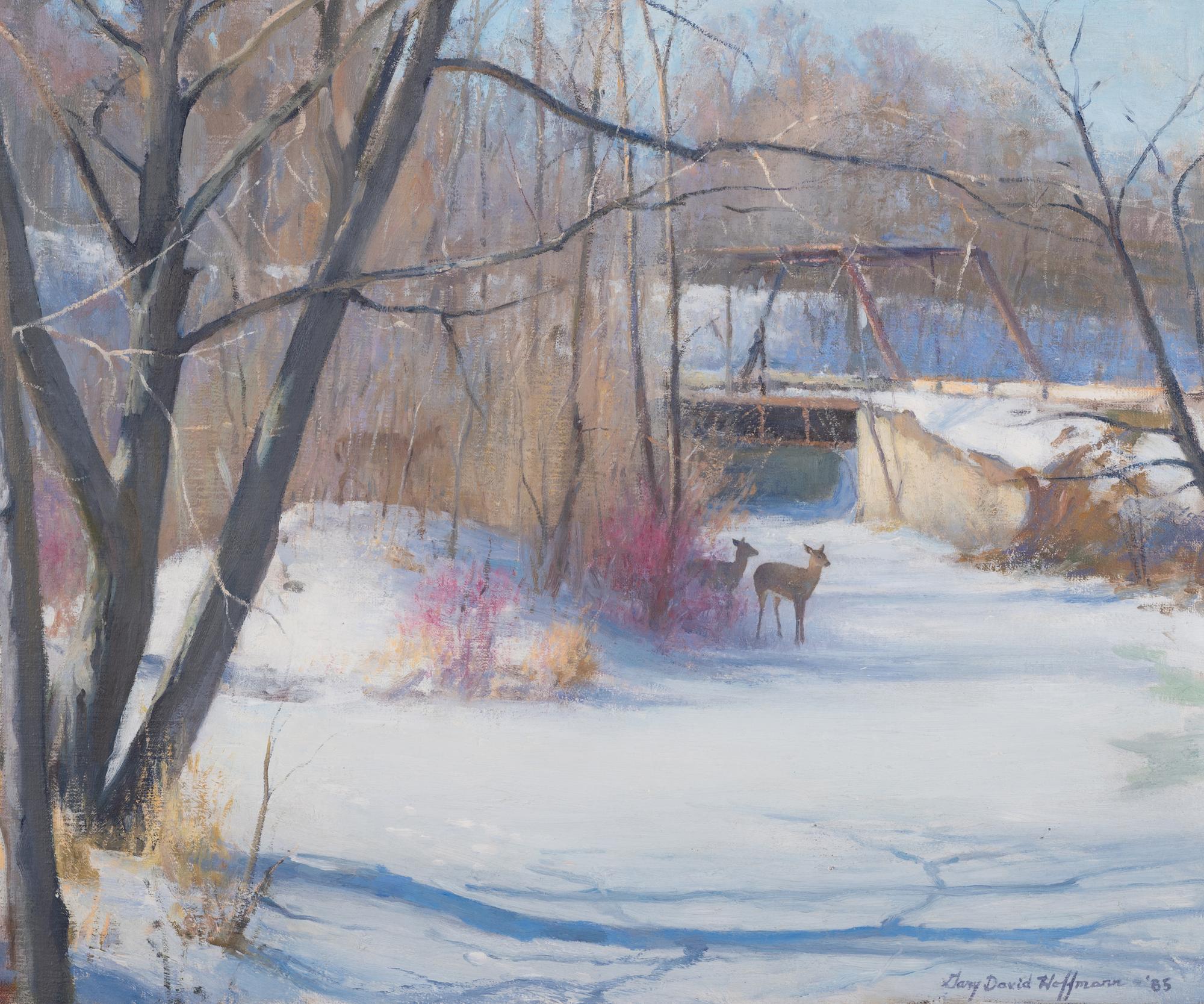 Deer in Snow