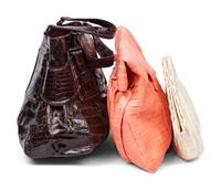Nancy Gonzalez, Three Handbags