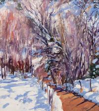 Winter Cottonwoods