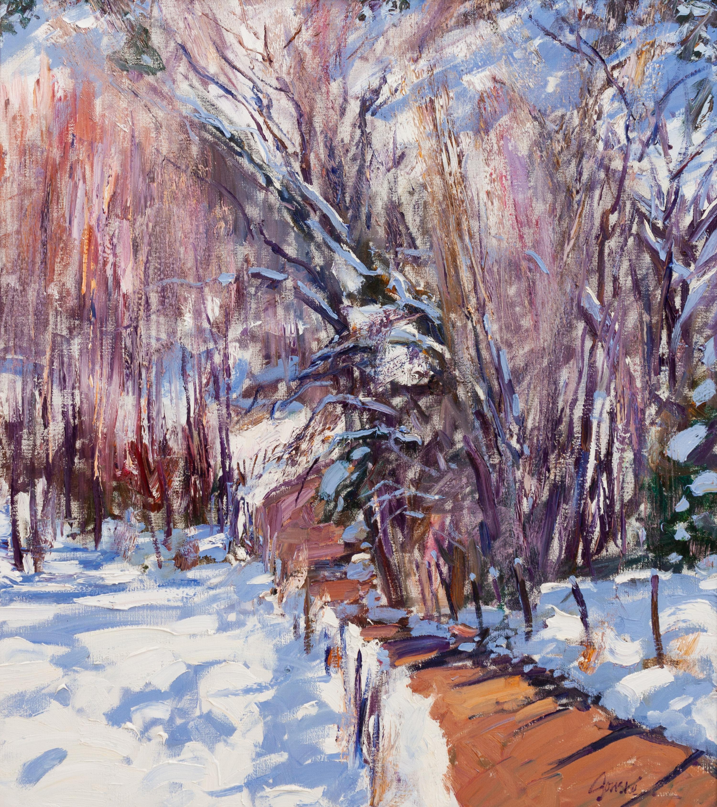 Winter Cottonwoods