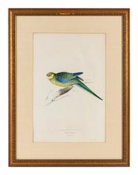 A Pair of Ornithological Prints
