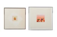Pataecus Fronto Marchio, 1977 and Red-Throated Bee-Eater and Barn Swallow , 1978 (a pair of works)