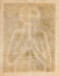 Torso Blanco