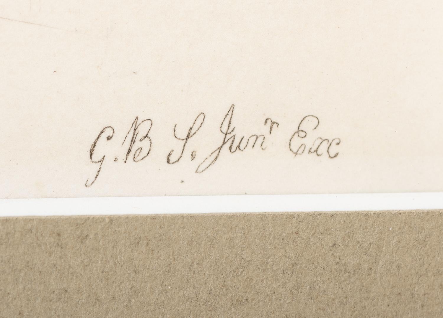 Thirteen Hand-Colored Shell Engravings
