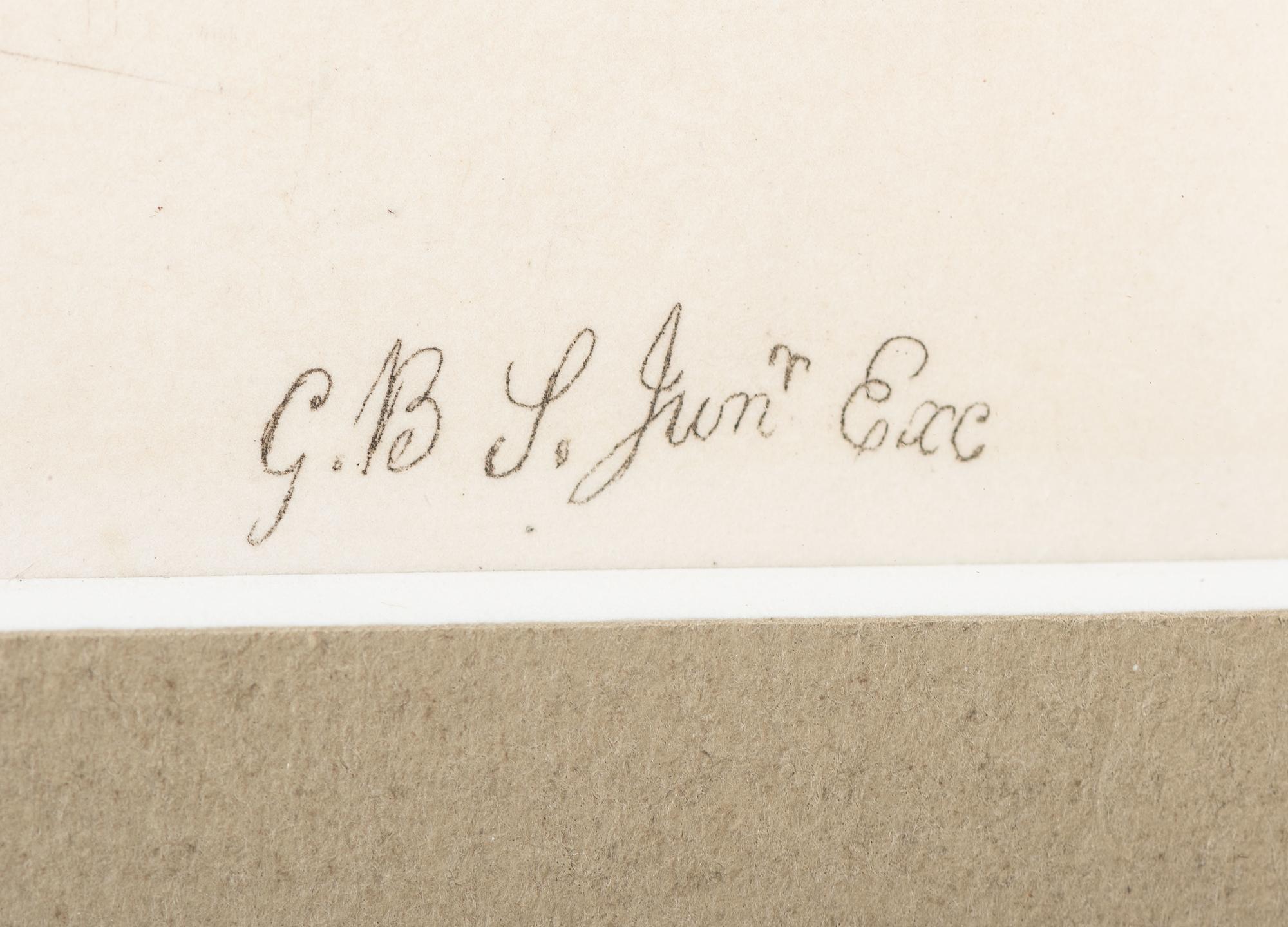 Thirteen Hand-Colored Shell Engravings