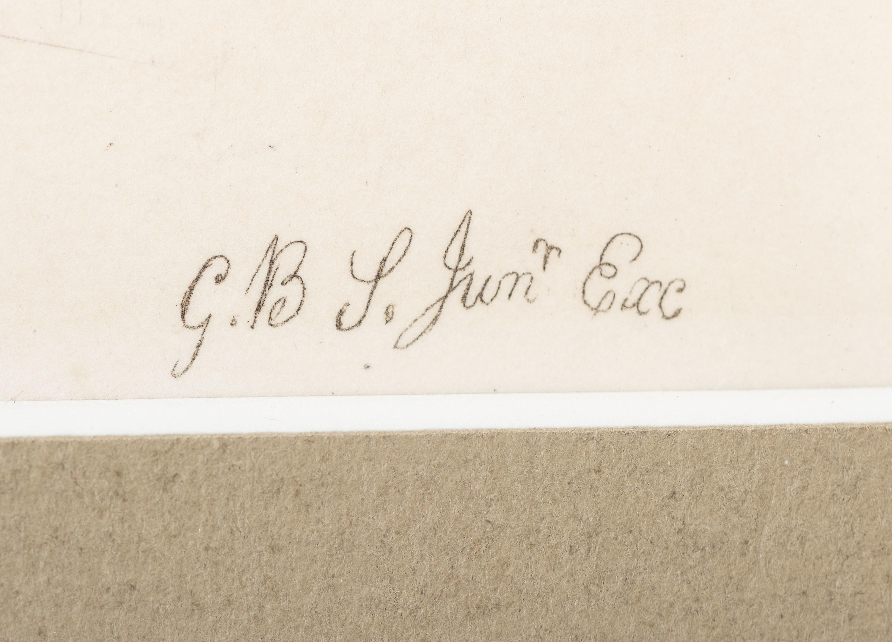 Thirteen Hand-Colored Shell Engravings