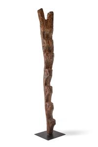 A Large Dogon Ladder Height 88 inches. — MALI, LATE 19TH/EARLY 20TH CENTURY